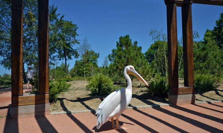 Отель "Рассветы Закаты" (ex. санаторий "Черноморец")