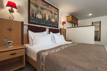 Делюкс 2-местный 1-комнатный (корпус 1)